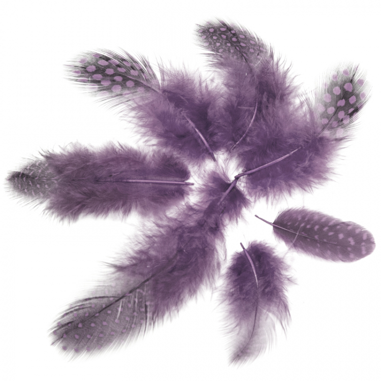 Перья Жемчужные, Фиолетовый, 80 шт.
