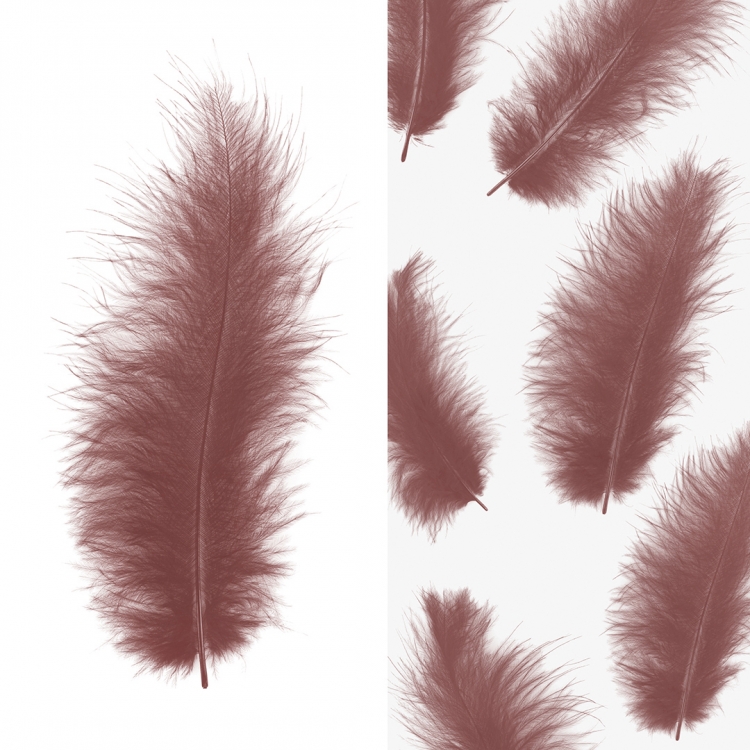 Перья Ретро Какао